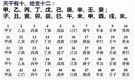 2023金兔年|2023癸卯年，是黑兔年，金兔年，还是水兔年？是根据什么说的？